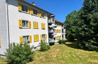Wohnung kaufen in 88069 Tettnang, Tettnang - Ruhige, helle und zentrale 2- Zi Wohnung mit Charme