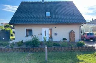 Einfamilienhaus kaufen in 31634 Steimbke, Steimbke - Einfamilienhaus mit liebevoll gestaltetem Garten