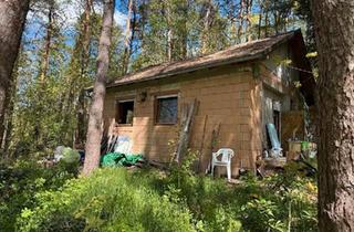 Haus kaufen in 06773 Gräfenhainichen, Gräfenhainichen - Wochenendhaus mit 4.500qm Wald in der Dübener Heide