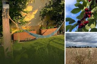 Einfamilienhaus kaufen in 13125 Berlin, Berlin - Bezugsfreies Einfamilienhaus: Sonne +Garten (keine Provision)