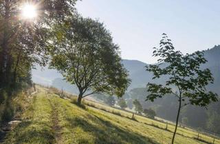 Wohnung kaufen in 57392 Schmallenberg, / Eigentumswohnung im idyllischen Sauerland!