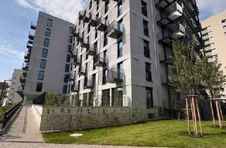 Wohnung mieten in Dröpkeweg 11, 12353 Buckow, Gemütliche 2-Zimmerwohnung im Dröpkeweg mit freundlicher Wohnatmosphäre