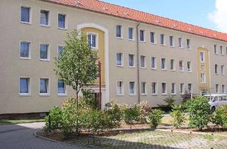 Wohnung mieten in Magdeburger Landstraße 224, 14770 Altstadt, Modernisierte 2-Zimmer-Wohnung in der Walzwerksiedlung