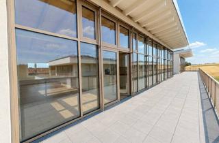 Penthouse mieten in Lerchenstrasse 14/1, 71672 Marbach, Modern. Ruhig. Grün. Penthouse 4 Zi Neubauwohnung große Terrasse in traumhafter Feldrandlage A07