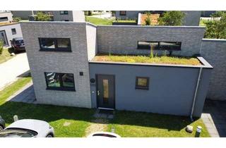 Haus kaufen in Schoddenhof, 49459 Lembruch, Ferienhaus im Marissa Resort am Dümmer See – mit Sauna & Terrasse
