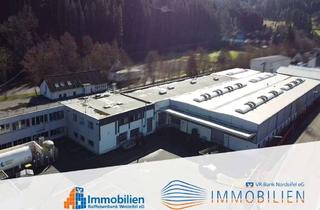 Gewerbeimmobilie kaufen in 53940 Hellenthal, Großzügiger Produktionsstandort mit Krananlagen, Schlossereihalle und Büroflächen!