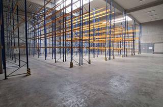 Gewerbeimmobilie mieten in Lentföhrdener Straße 14, 24576 Weddelbrook, Effizient nutzbare Lagerhalle in Weddelbrook