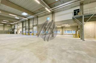 Büro zu mieten in 64546 Mörfelden-Walldorf, KEINE PROVISION ✓ SCHNELL VERFÜGBAR ✓ Lager (1.100 m²) & Büro (450 m²)