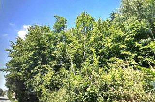Grundstück zu kaufen in 86695 Nordendorf, Interessantes Südhanggrundstück mit Fernblick, evtl. auch teilbar!