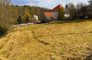 Grundstück zu kaufen in 92681 Erbendorf, Provisionsfrei: Traumgrundstück in ruhiger Sonnenlage mit viel Freiraum für Ihr Zuhause