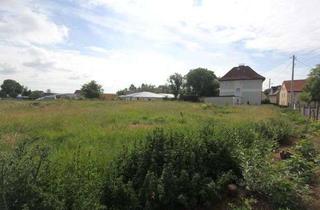 Grundstück zu kaufen in 06179 Steuden, Baugrundstück in Steuden-Provisionsfrei