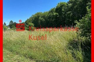 Grundstück zu kaufen in 66901 Schönenberg-Kübelberg, Baugrundstück in interessanter Lage
