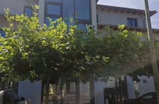 Büro zu mieten in An Der Burg Sülz, 53797 Lohmar, Modernes Büro mit Klimaanlage