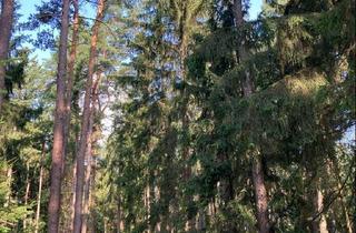 Gewerbeimmobilie kaufen in 85293 Reichertshausen, Wald bei Reichertshausen