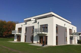 Wohnung mieten in Pfarrhufenanger 33, 12623 Mahlsdorf, Exklusive DG-Wohnung mit 43 m² Dachterrasse in Berlin-Mahlsdorf