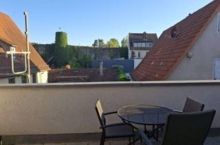 Wohnung mieten in 97084 Heidingsfeld, Möblierte 1-Zimmer-Dachgeschosswohnung mit großer Dachterrasse, Klimaanlage und Stellplatz