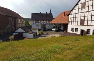 Haus kaufen in Am Schwimmbad, 34621 Frielendorf, Großzügiges Hofanwesen mit viel Potenzial und weitläufigem Grundstück in Lenderscheid