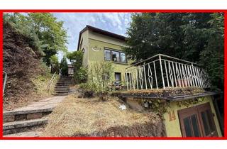 Einfamilienhaus kaufen in 71711 Steinheim, Einfamilienhaus mit viel Potenzial!