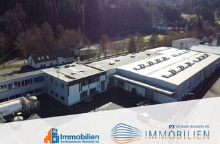 Gewerbeimmobilie kaufen in 53940 Hellenthal, Großzügiger Produktionsstandort mit Krananlagen, Schlossereihalle und Büroflächen!