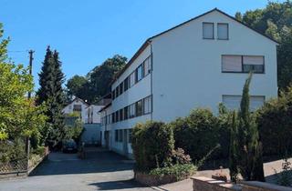 Haus kaufen in 63920 Großheubach, Großheubach - seltene Chance Gebäudeensemble MFH + Zwei-FH + Mischobjekt