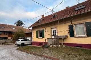Einfamilienhaus kaufen in 79206 Breisach, Breisach am Rhein - Familienhaus mit Ferienwohnung (im Elsass - 7min. bis Breisach)