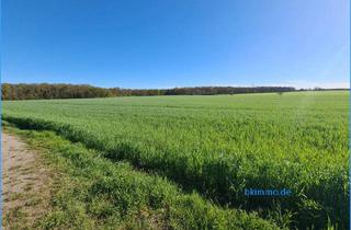 Grundstück zu kaufen in 06386 Chörau, Chörau - 3,3 ha Ackerland bei Chörau und Dessau Mosigkau