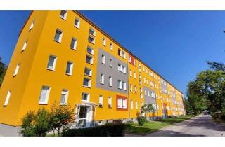 Wohnung mieten in Neschwitzer Straße 11, 01917 Kamenz, Bezugsfrei. Frisch renoviert. Bereit. / Available now. Renovated. Ready for you.