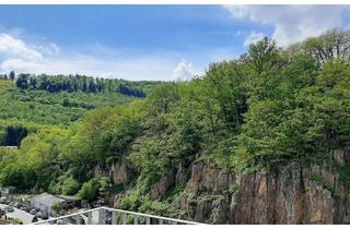 Wohnung mieten in 69118 Ziegelhausen, Neubau: 1 Zimmer Wohnung mit Aussicht - naturnah bei Heidelberg