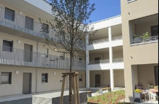 Wohnung mieten in An Der Maukhalle, 91080 Spardorf, NEUBAU 2-Zimmer Wohnung mit Einbauküche und großer Dusche zum 01.08.2026