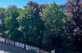 Wohnung mieten in Stresemannstraße 167, 22769 Altona-Nord, Stilvolle, gepflegte 1-Zimmer-Wohnung in Altona-Nord