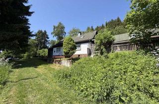 Haus kaufen in Obere Spitzkehre, 59964 Medebach, Wo Fuchs und Hase sich gute Nacht sagen – Ihr Waldhaus nahe Winterberg