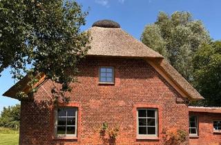 Haus kaufen in 25569 Bahrenfleth, Charmantes Reetdach - Cottage direkt am Deich – Ein einzigartiges Projekt mit viel Potenzial