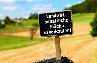 Grundstück zu kaufen in 94569 Stephansposching, Landwirtschaftliche Flächen Gemeindegebiet Stephansposching