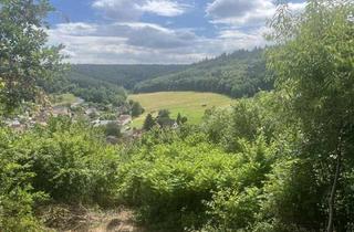 Haus kaufen in 64747 Breuberg, Sonnig - Ruhig - Ausblick inklusiveEFH in Breuberg sucht neuen Besitzer mit grünem Daumen