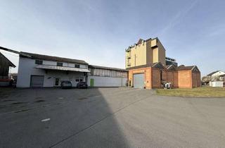 Gewerbeimmobilie kaufen in Lütersheimer Straße, 34471 Volkmarsen, Vielseitiger Gewerbestandort mit Büro-, Lager- und Hallenflächen in Volkmarsen