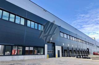 Büro zu mieten in 58239 Schwerte, KEINE PROVISION ✓ LOGISTIK-NEUBAU ✓ WGK ✓ Lager-/Logistik (28.000 m²) & Büro (1.500 m²)