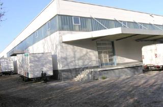 Büro zu mieten in Weißenfelderstr, 85551 Kirchheim, Geräumige Lagerhalle + kl. Büro; LKW Anlieferung; 4 x Rolltor; provisionsfrei; ab 2027 verfügbar