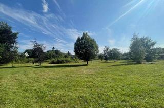 Grundstück zu kaufen in Birkengrund, 27607 Langen, Provisionsfrei: Geestland-Debstedt // Über 7.200 m² Bauland in Bestlage