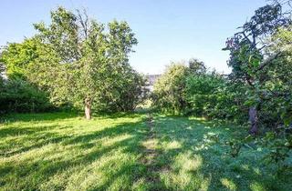 Grundstück zu kaufen in 33178 Borchen, Borchen (Kreis Paderborn): Teilerschlossenes Grundstück in idyllischer Lage!