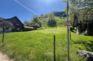 Grundstück zu kaufen in 79244 Münstertal, Sonniges Grundstück im Münstertal
