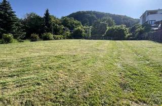 Grundstück zu kaufen in Goetheweg 10a, 99752 Bleicherode, Attraktives Baugrundstück (1000m²) direkt am Wald - Bleicherode
