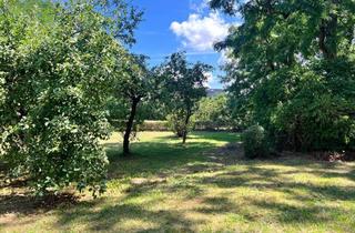 Grundstück zu kaufen in 15757 Halbe, Sanierungsbedürftiges EFH + Scheune auf großem Grundstück – In 2 Automin. am Oderiner See