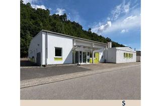 Immobilie kaufen in 66981 Münchweiler, Reinraumstandort sofort verfügbar