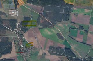 Gewerbeimmobilie kaufen in 14947 Nuthe-Urstromtal, Wald und Ackerflächen nahe Luckenwalde bei Frankenförde