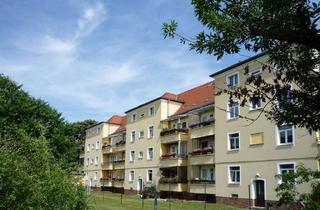 Wohnung mieten in Uhlstraße 14, 07549 Lusan, Gemütliche 2-Raum-Wohnung im Altbau mit Dusche