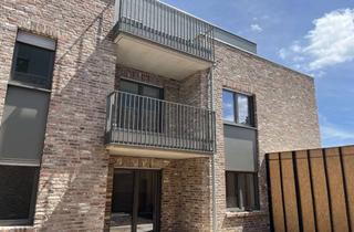 Wohnung mieten in 49401 Damme, 3-Zimmer-Wohnung in Damme | Erstbezug