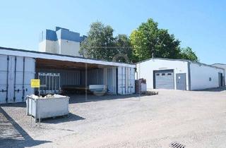 Gewerbeimmobilie mieten in 26789 Leer, Isolierte Gewerbehalle mit 2 Rolltoren, WCs, Lagercontainern und Aussenfläche