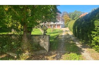 Grundstück zu kaufen in 88348 Bad Saulgau, * exklusives stadtnahes Grundstück mit altem Baumbestand, teilbar
