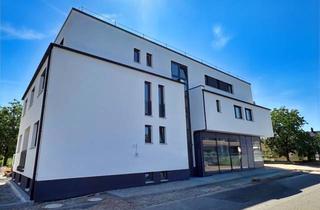 Wohnung mieten in 77694 Kehl, Erstbezug im Neubau: Klimatisierte Komfortwohnung mit Balkon, Lift & Stellplatz in Goldscheuer