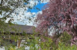 Einfamilienhaus kaufen in 88499 Riedlingen, Riedlingen - Einfamilienhaus, Winkelbungalow, ca. 850 qm,